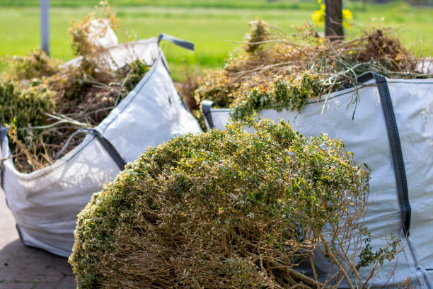 Best Local Junk Hauling  in Westville, OK